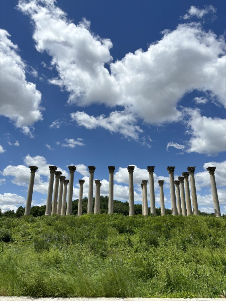 Forlorn Columns in the Arboretum